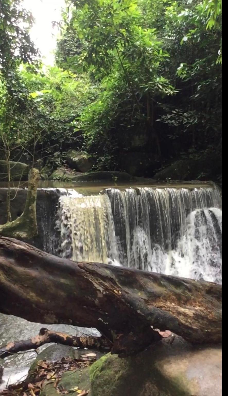 蓝赛特海滩 菠萝岛旅馆旅舍 外观 照片
